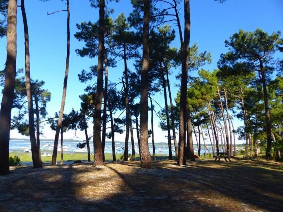 Maison Oceane Proche Plage Villa Ares Dış mekan fotoğraf